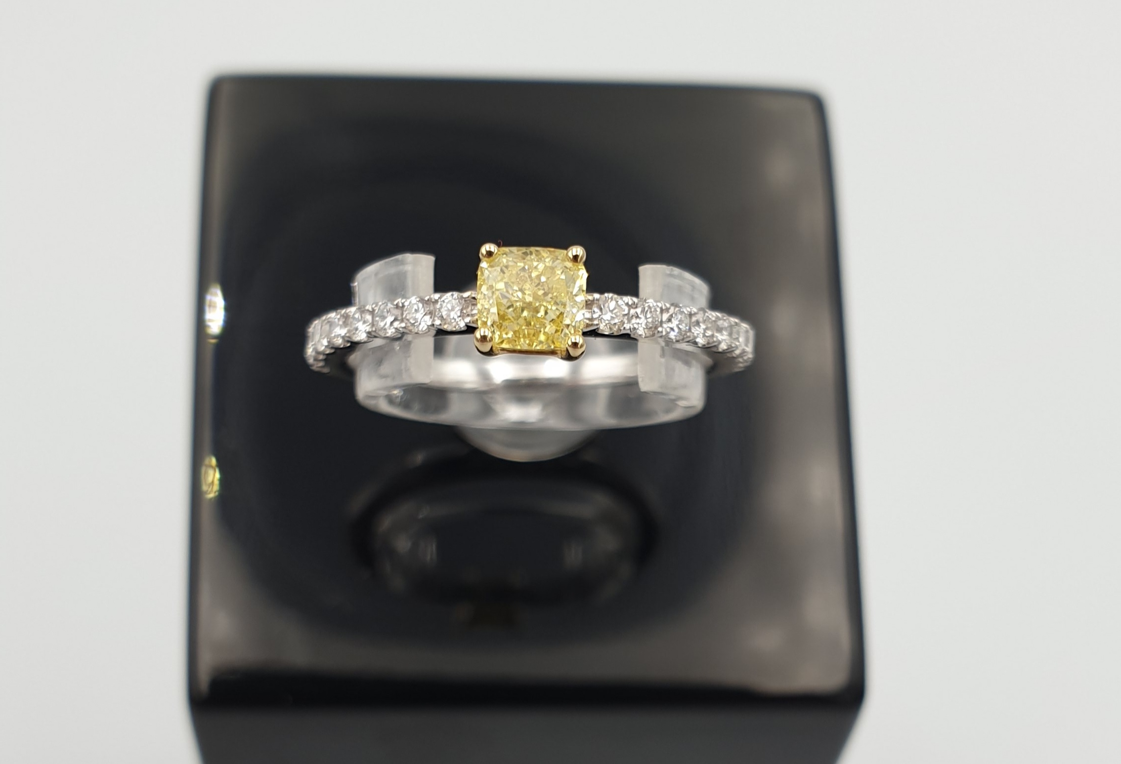 Solitair pavé ring i 18 kt guld eller hvidguld, med sjælden gul diamant SG24175R